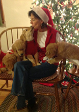 Liz Barrows - Breeder of Daisy-Gold Goldens